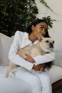 Meet Pagerie, the First Ultra-Luxury Pet Fashion Brand