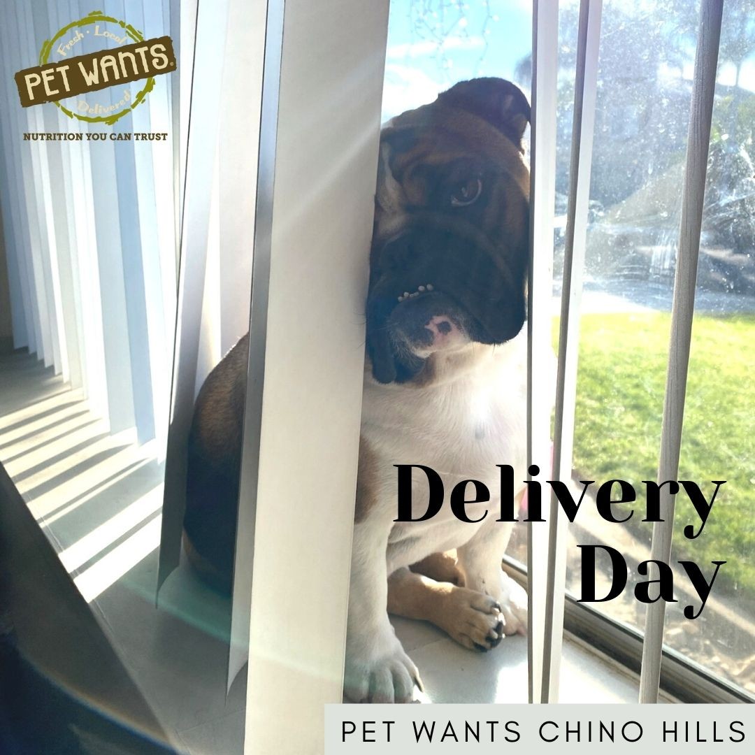 Pet wants cheap delivery