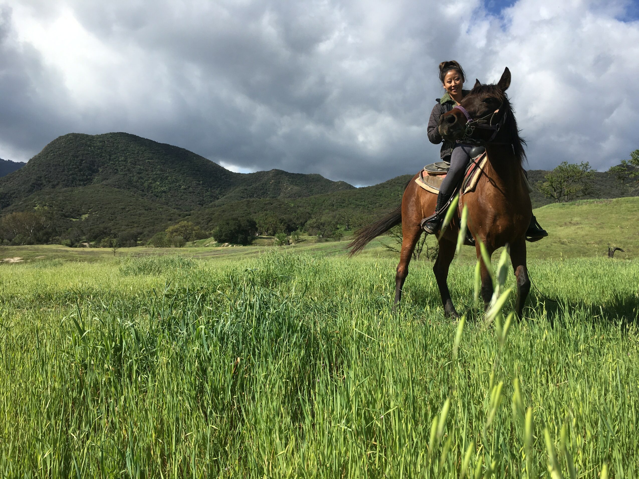 Person riding a horse in a green field with mountains and cloudy sky in background.