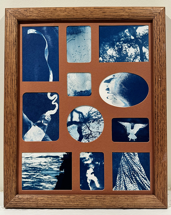 Wooden frame with twelve blue-tinted images of nature, animals, and abstract patterns arranged in a grid.