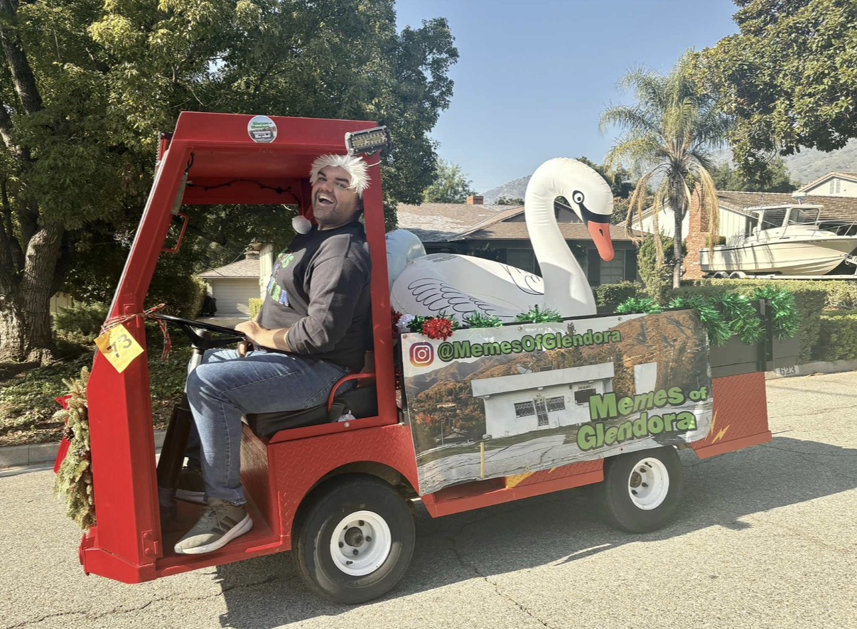 Person sitting in a decorated cart with a swan figure and scenic images, outdoors with trees and houses in background.