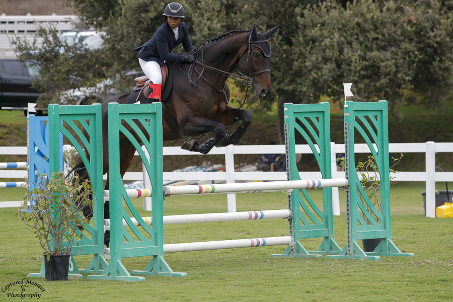 Horse and rider jumping over a colorful obstacle on a grassy field with trees in the background.