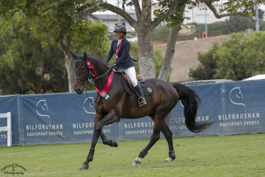 Person riding a dark horse with a red bridle and saddle pad, riding on grass near trees and a blue fence.