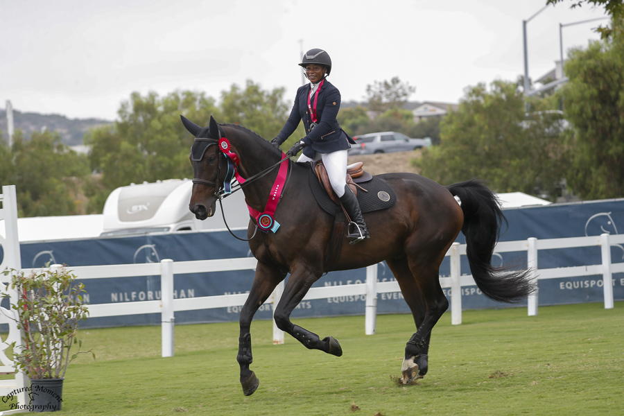 Person riding a dark brown horse with a pink bridle and saddle on a grassy field.