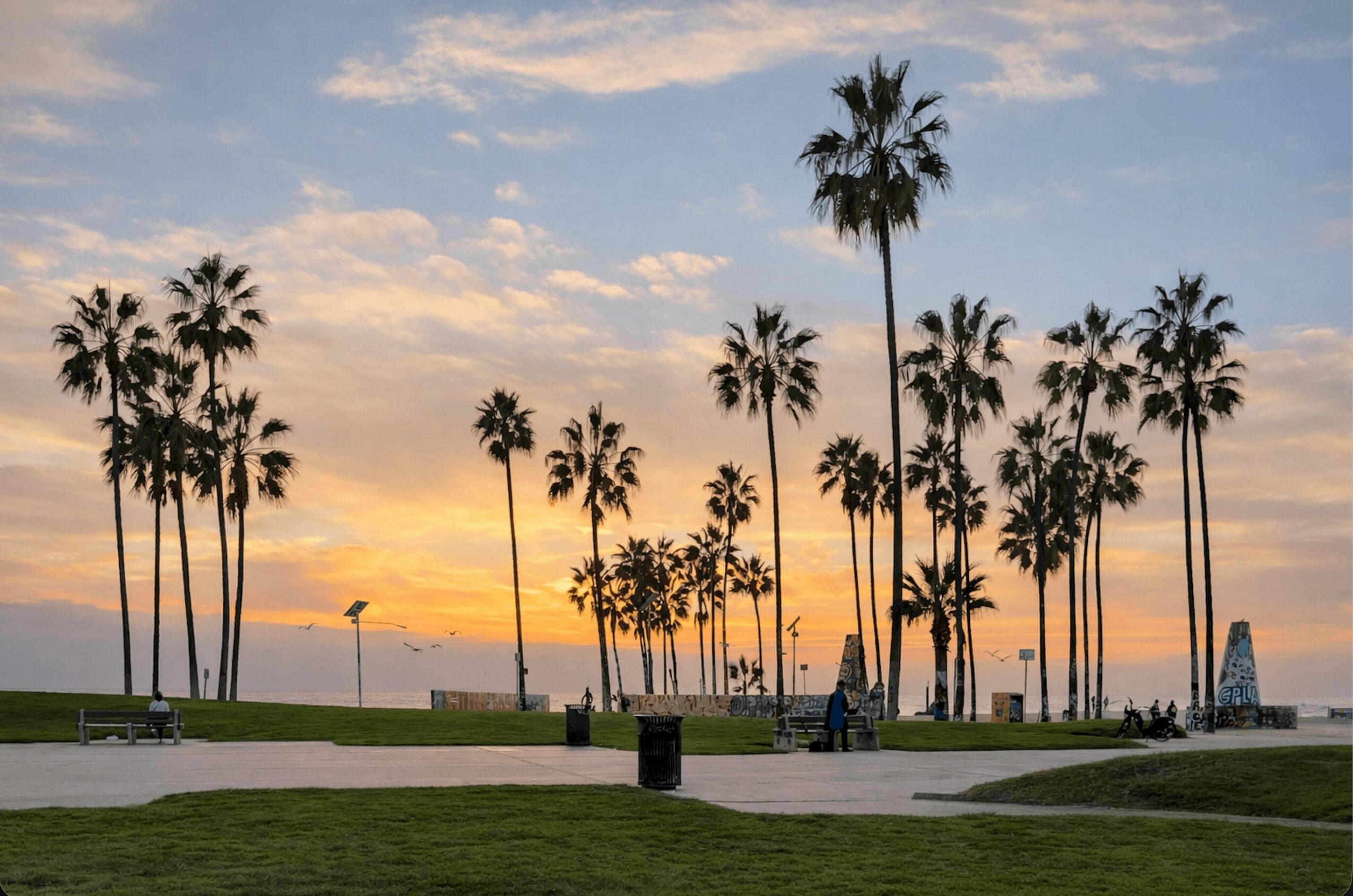 Palm trees along a walkway at sunset with people sitting and walking, sky with orange and blue hues.