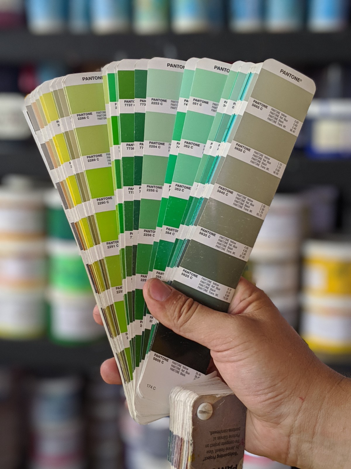 Hand holding paint color sample fan deck with various shades of green and beige, blurred shelves in background.