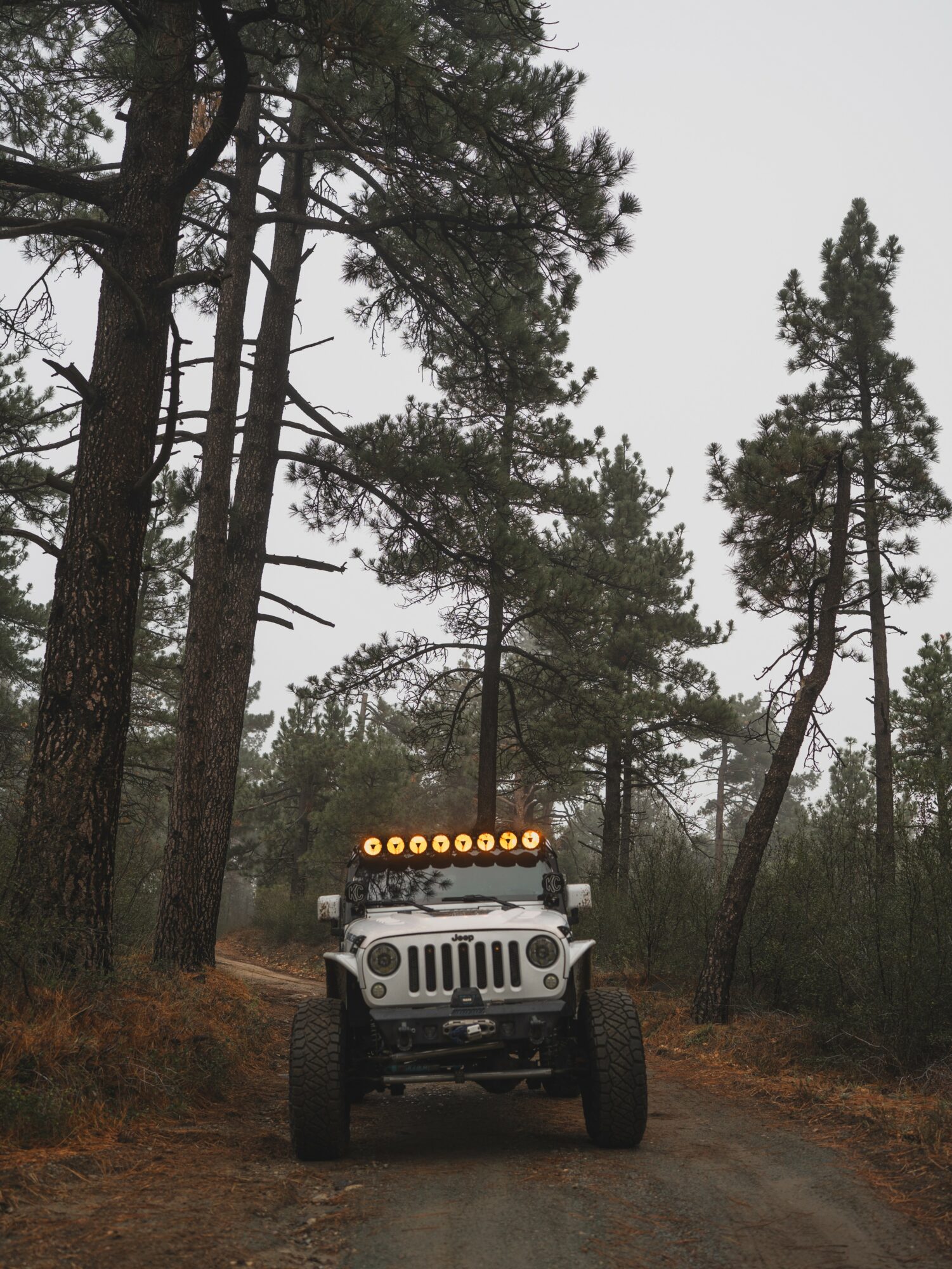 White off-road vehicle with yellow lights on a dirt path surrounded by tall pine trees.