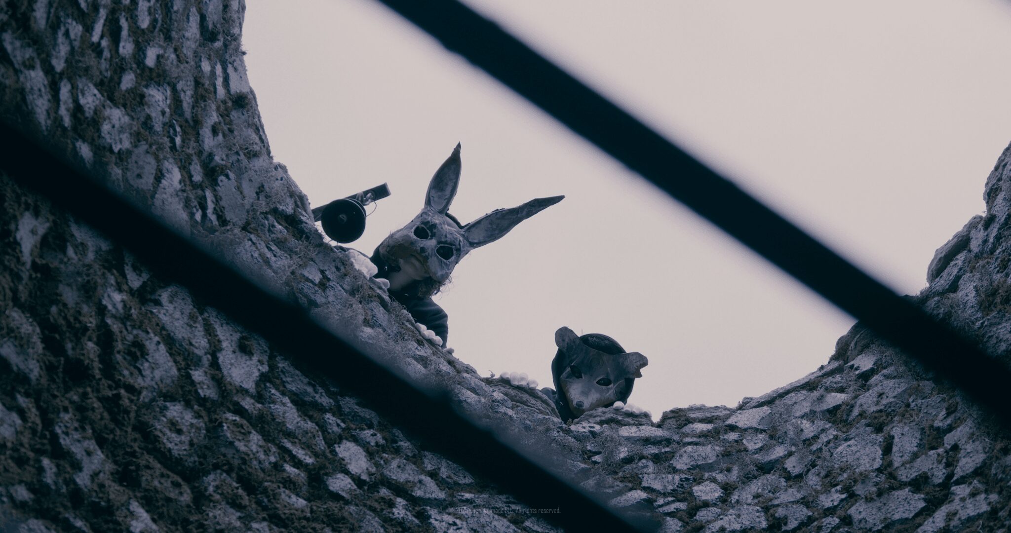 Two rabbits and a bird sitting on a tree branch viewed from below, with a sky background.