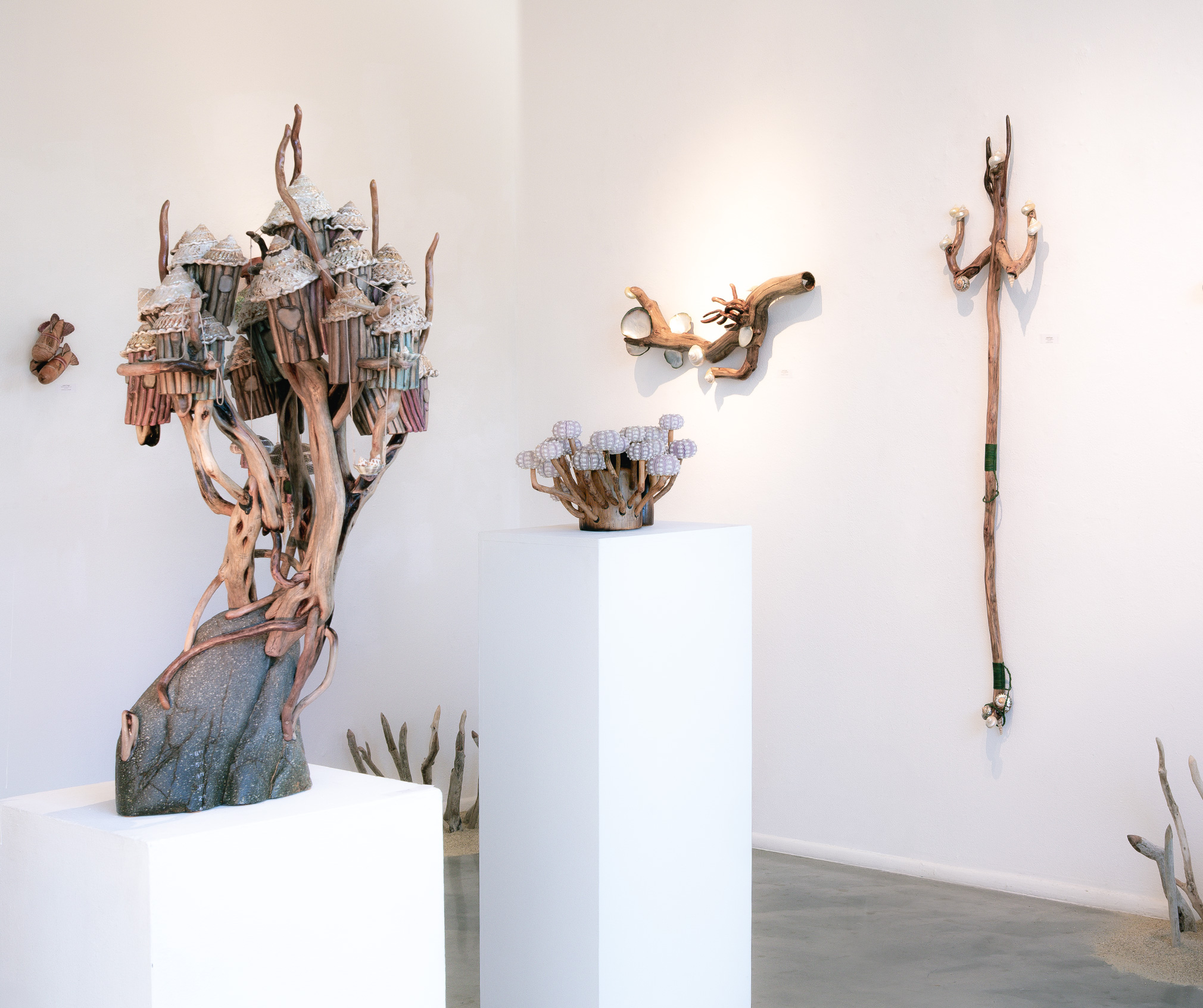 Art installation with wooden sculptures mounted on white walls and displayed on white pedestals.