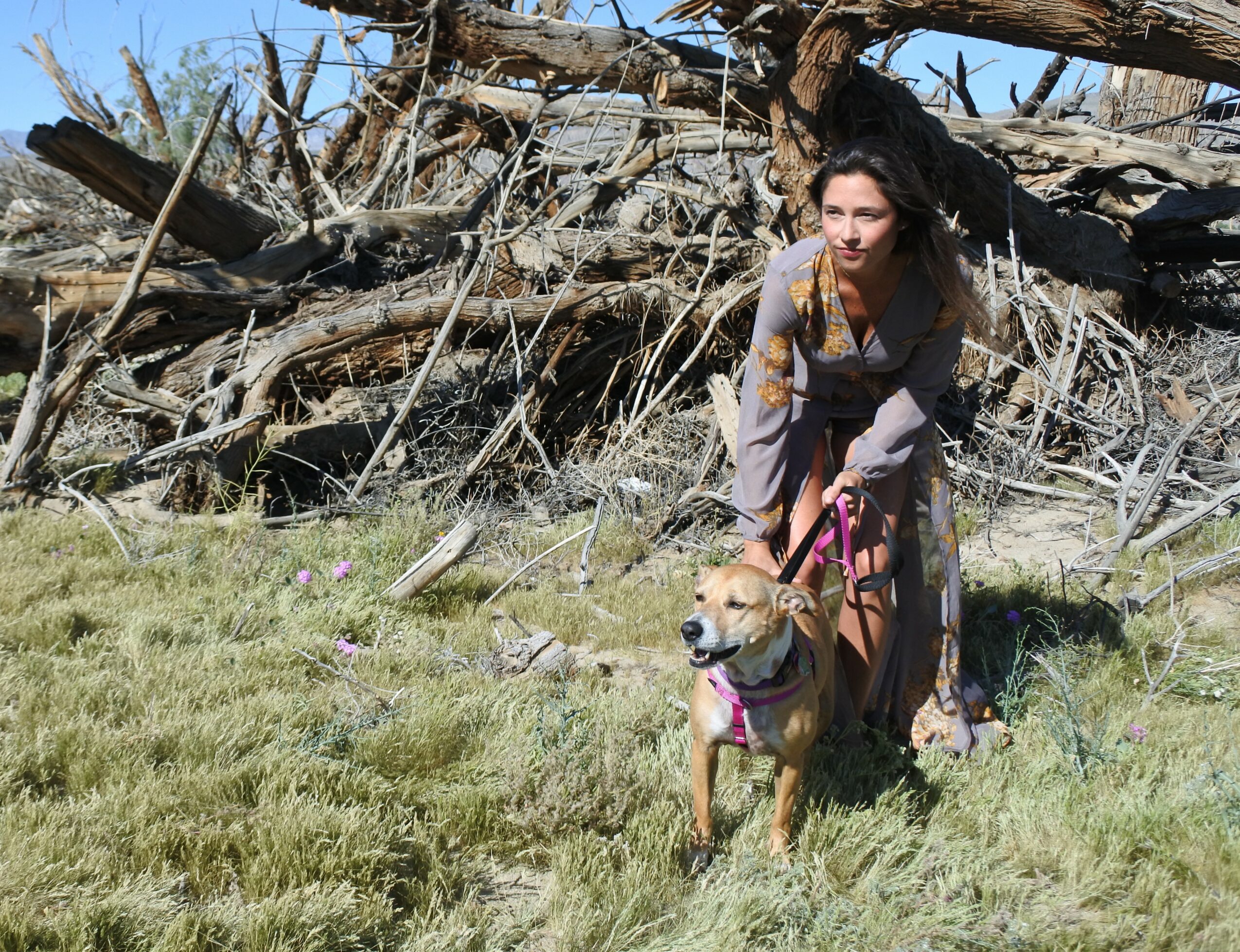 Woman with long dark hair crouching next to a dog on a leash in a grassy area with fallen trees behind.