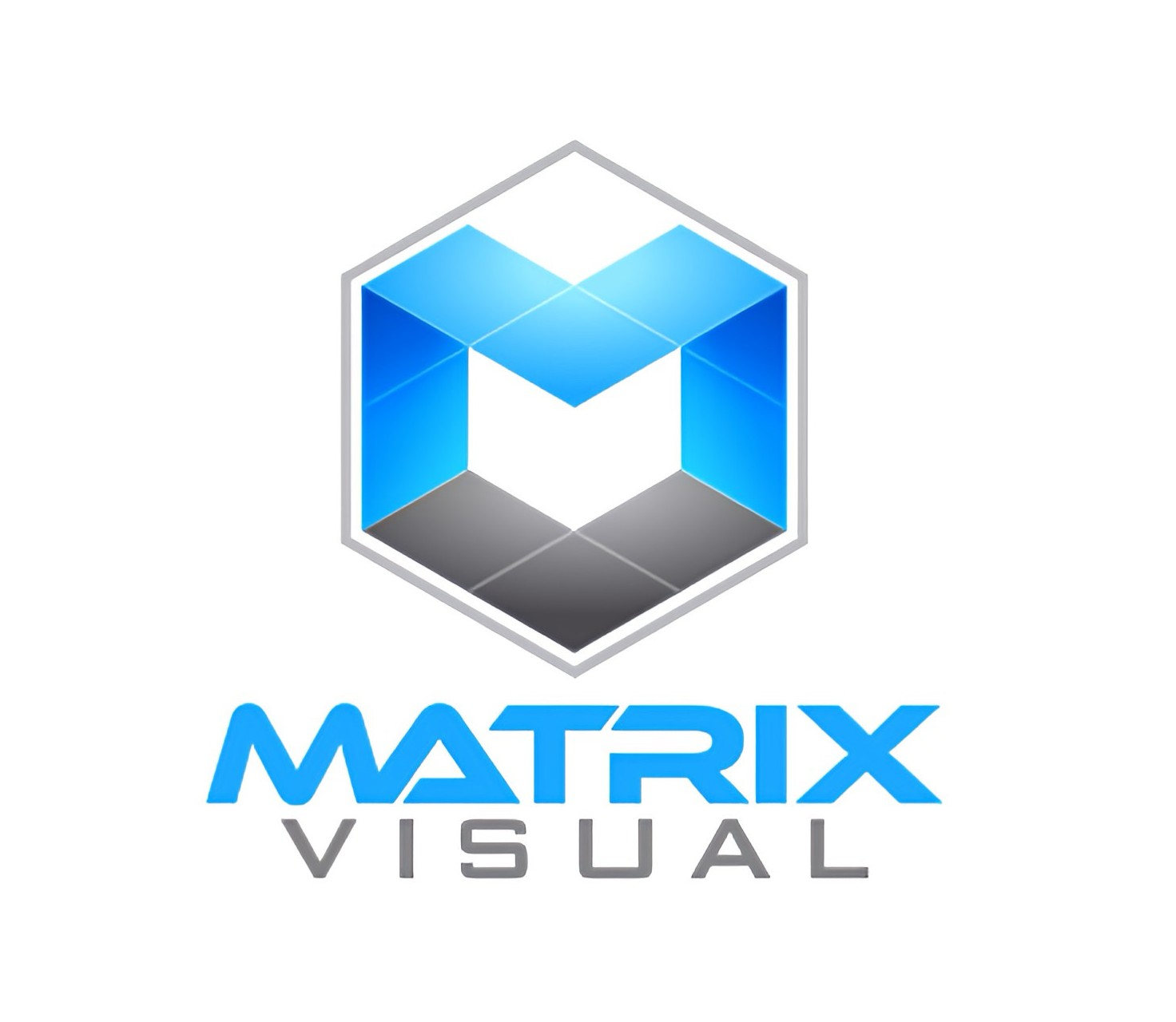 Hexagonal logo with blue and gray cubes and the text 'MATRIX VISUAL' below.