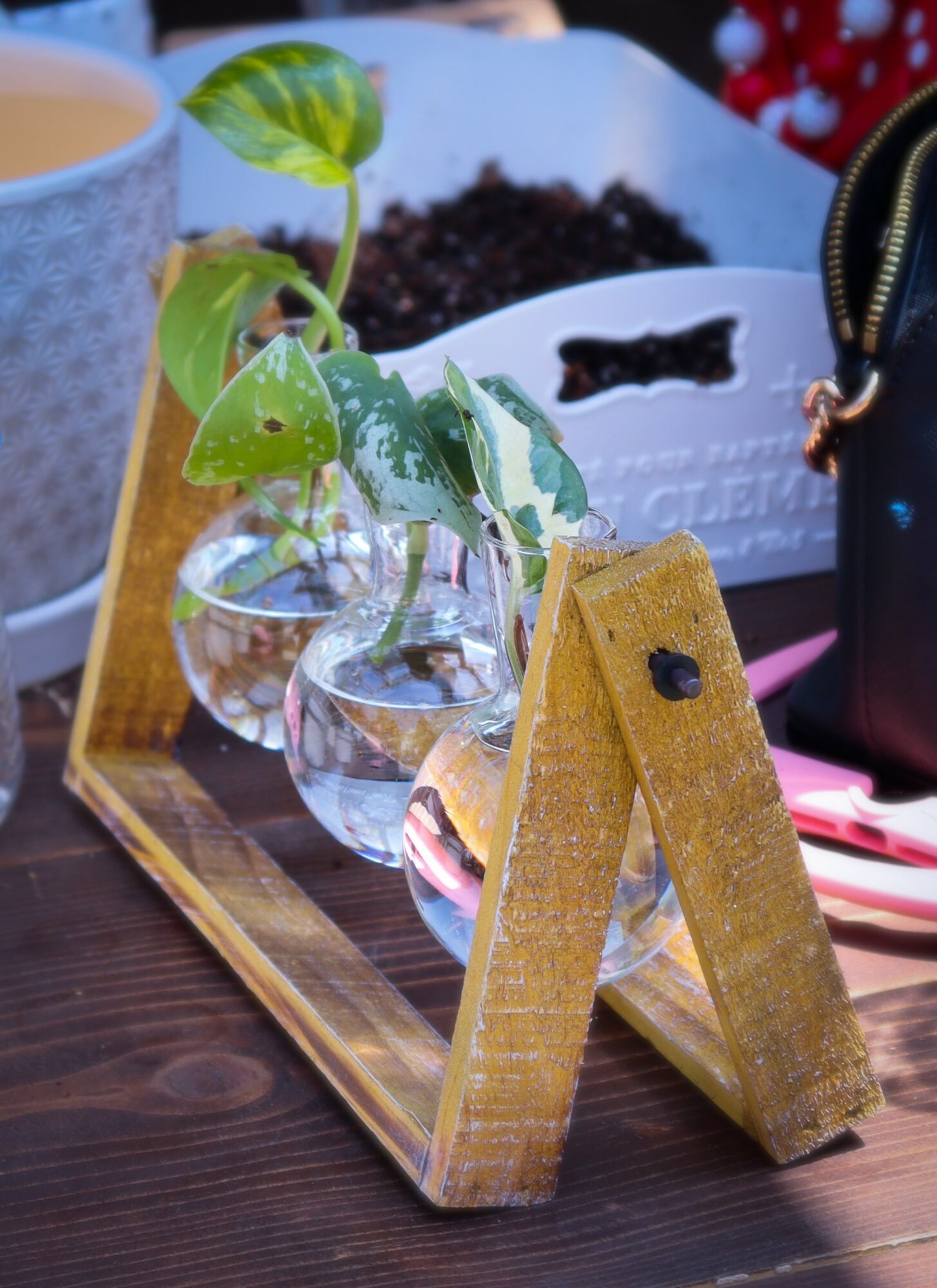 Three glass vases with green leafy plants on a wooden tray, with a yellow A-frame stand, a cup, and a black bag in background.