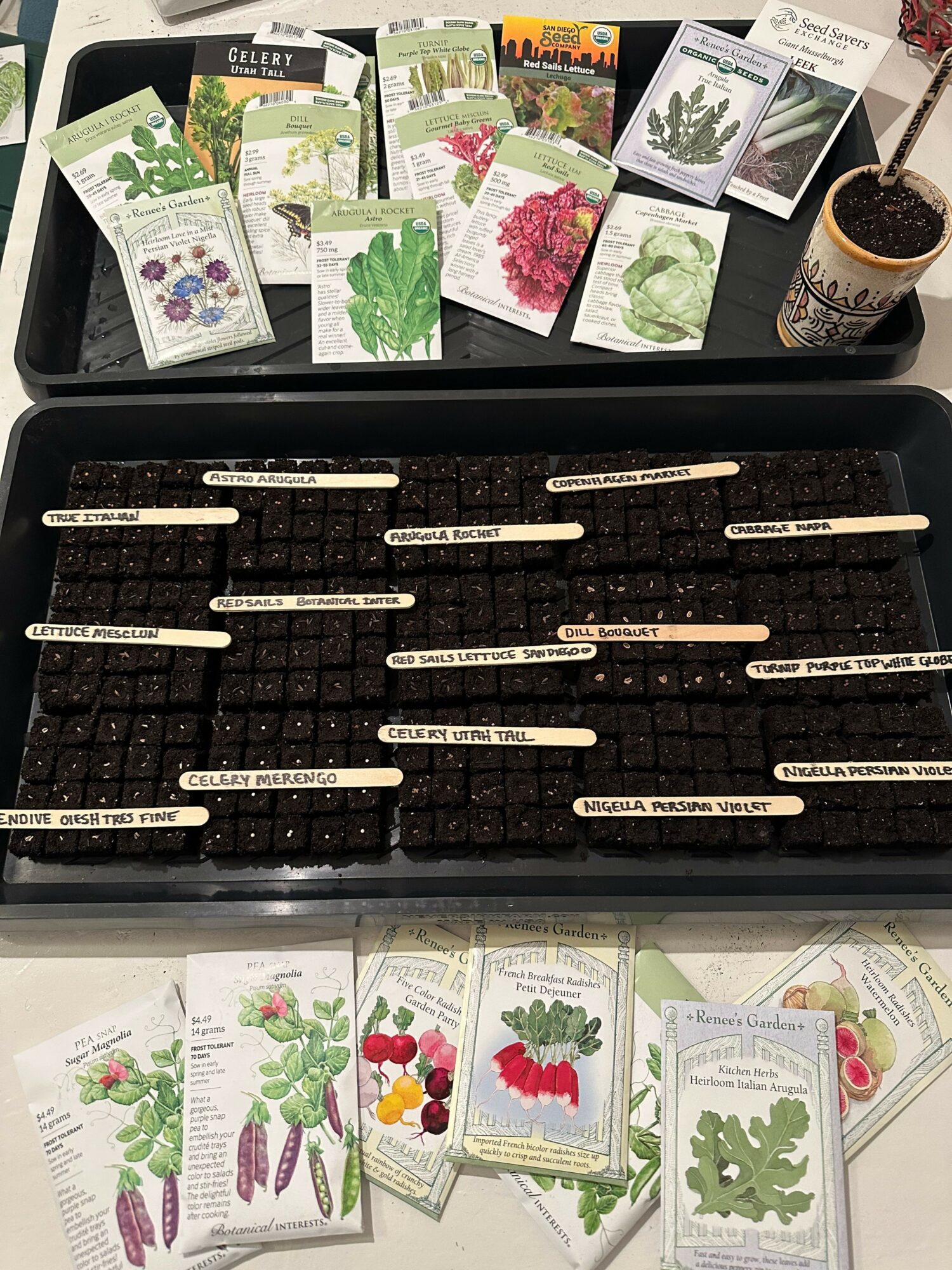 Seed packets with various plant illustrations, a black tray with labeled plant parts, and a small potted plant.
