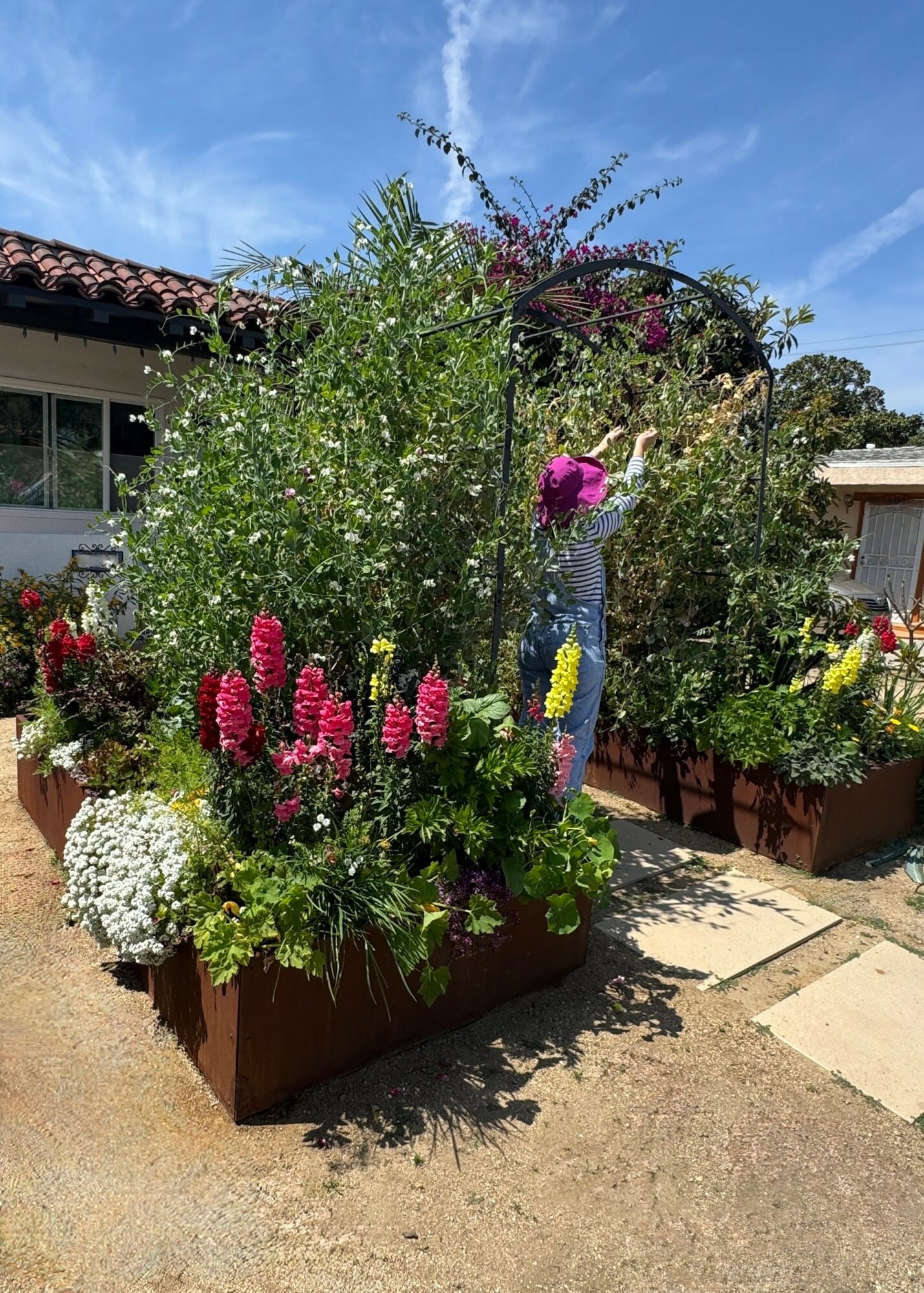 Flower arrangement with pink, white, and purple flowers in a garden bed outdoors under a blue sky.