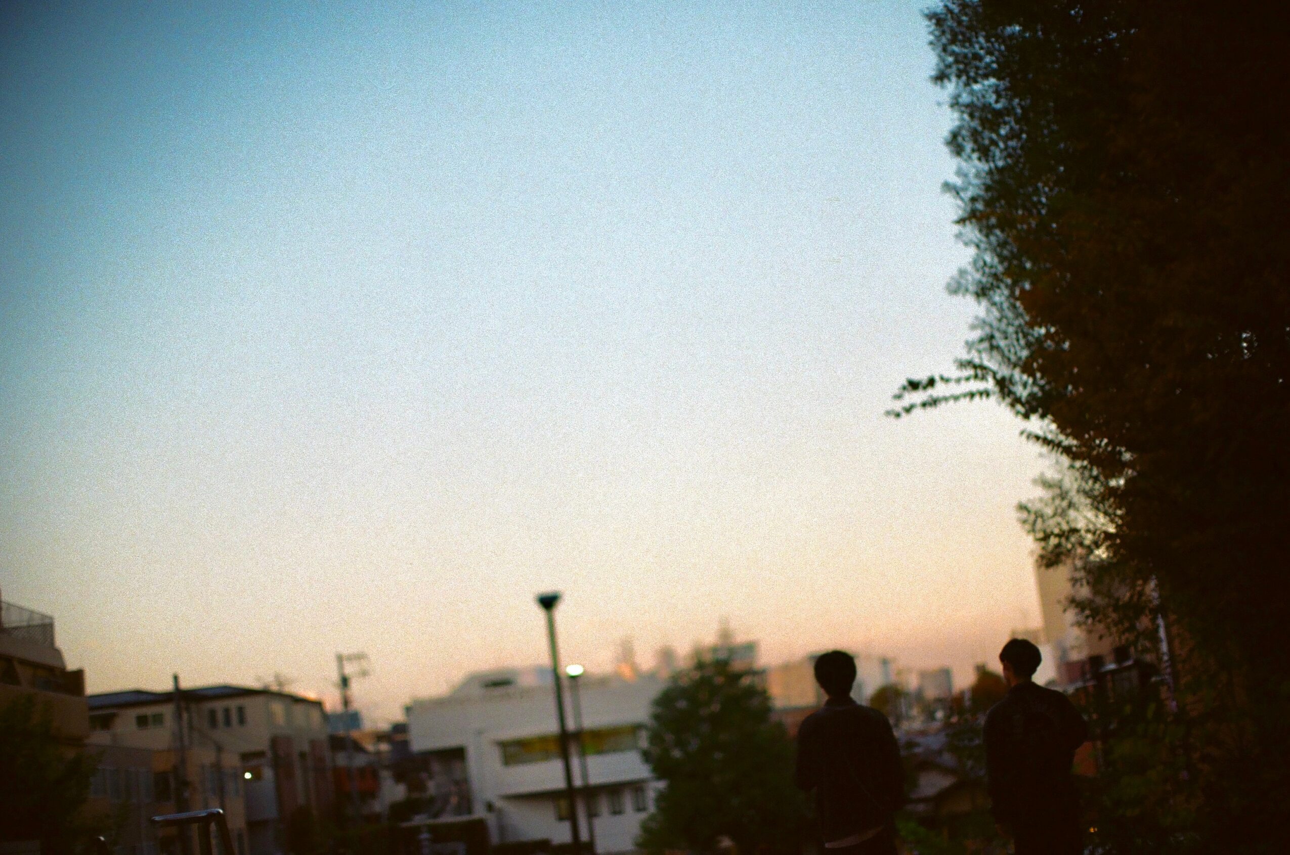 Sky with silhouettes of people and trees, cityscape in the background during sunset or dusk.