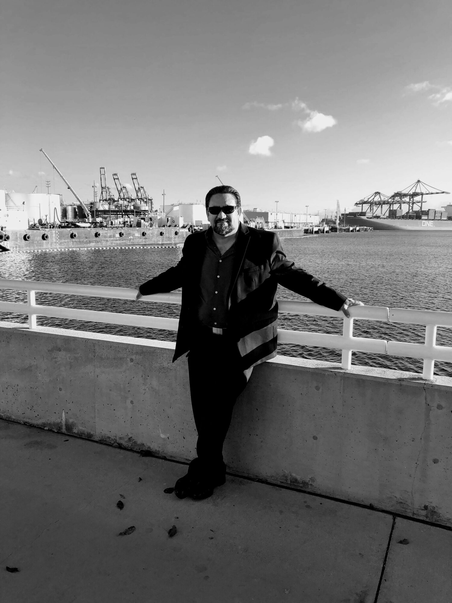 Person standing outdoors near a railing with a harbor and cranes in the background.