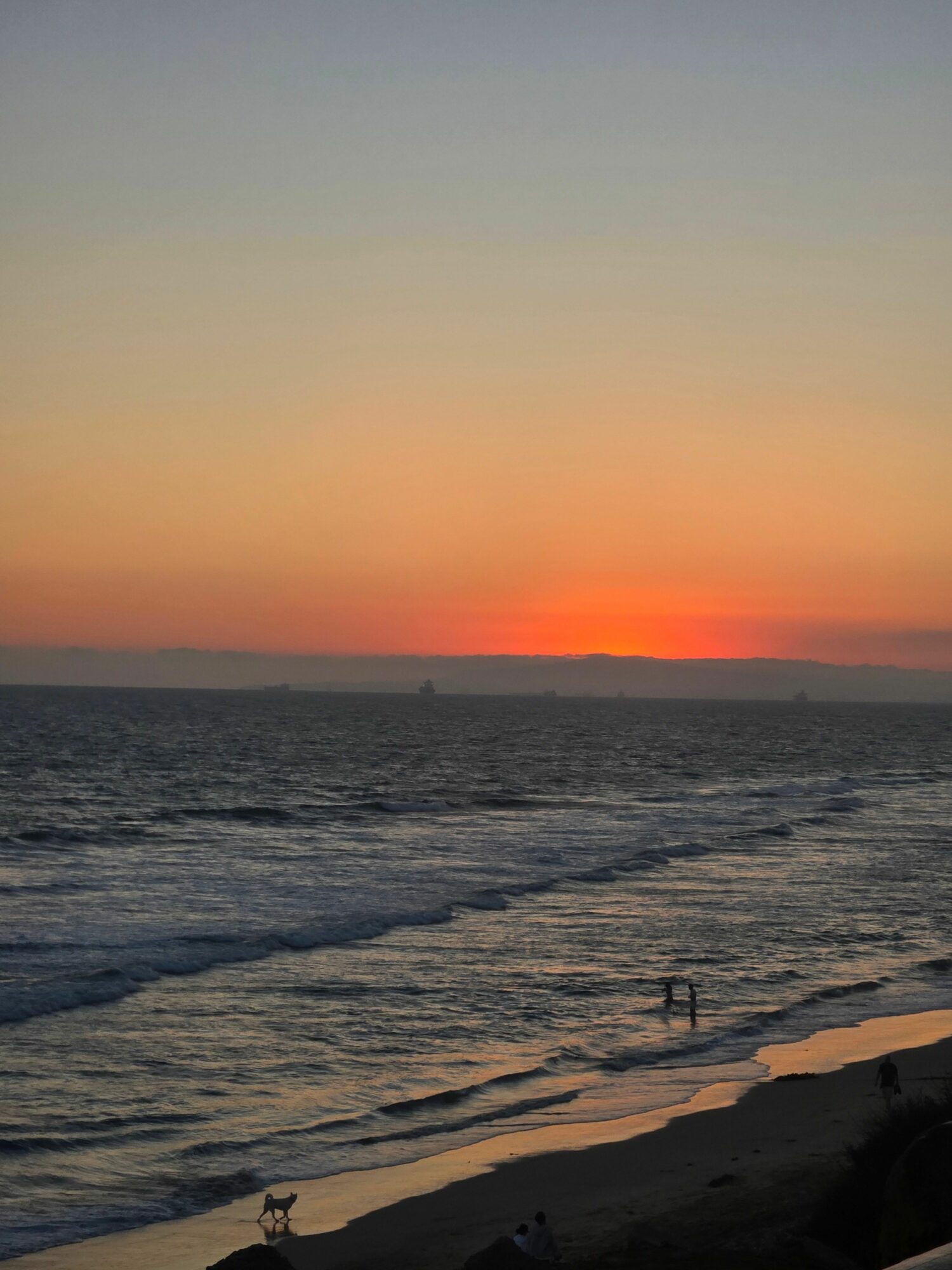 Sunset over ocean with colorful sky, waves, and a dog on the beach.