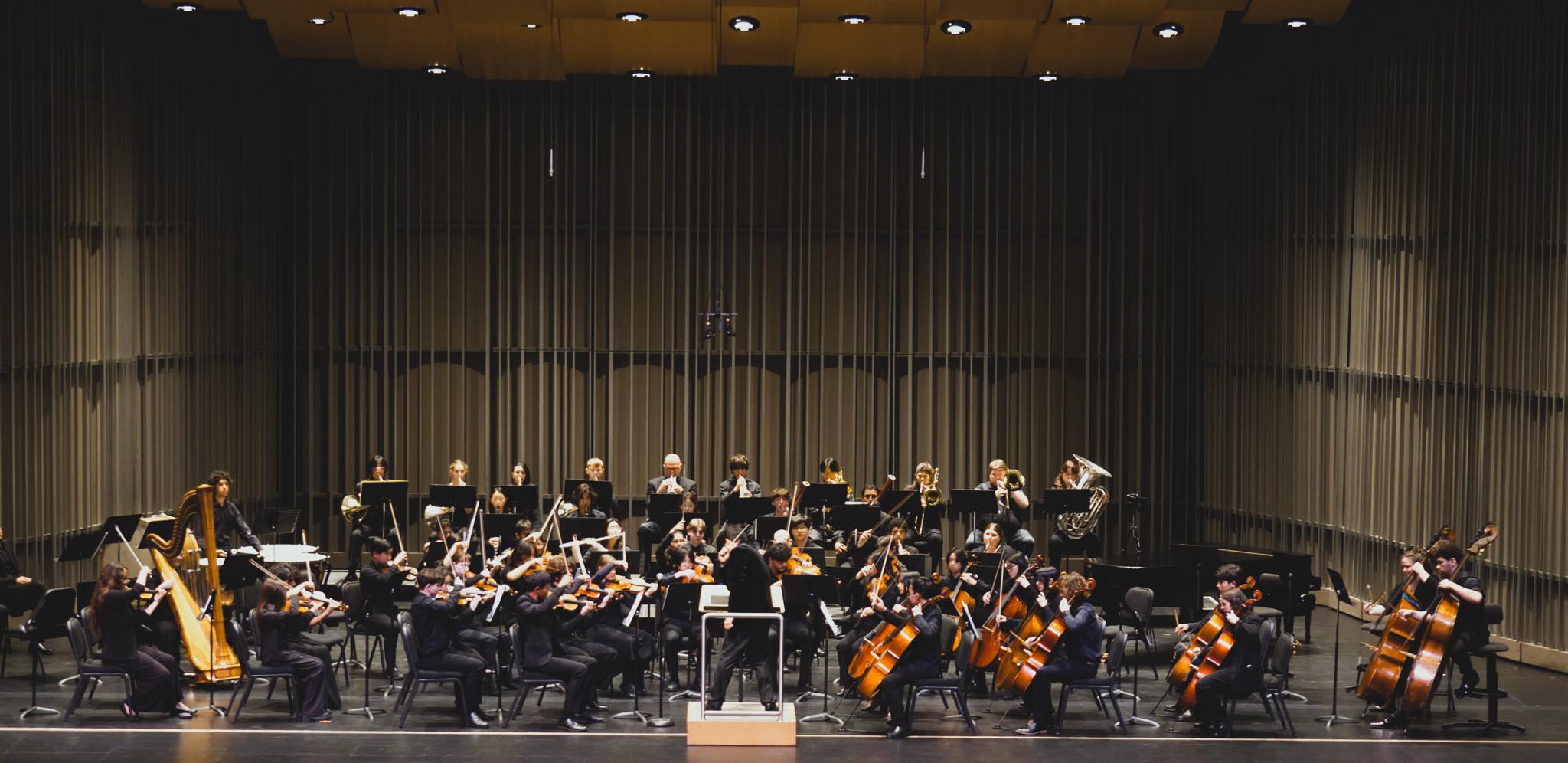 Orchestra performing on stage with musicians playing various instruments in a concert hall.