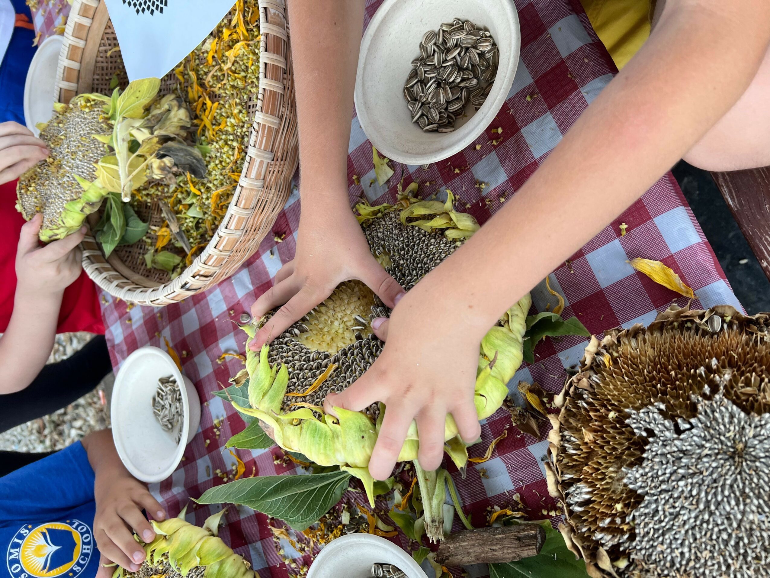 Children's hands reaching for a large, spiky mushroom on a checkered tablecloth with small bowls nearby.