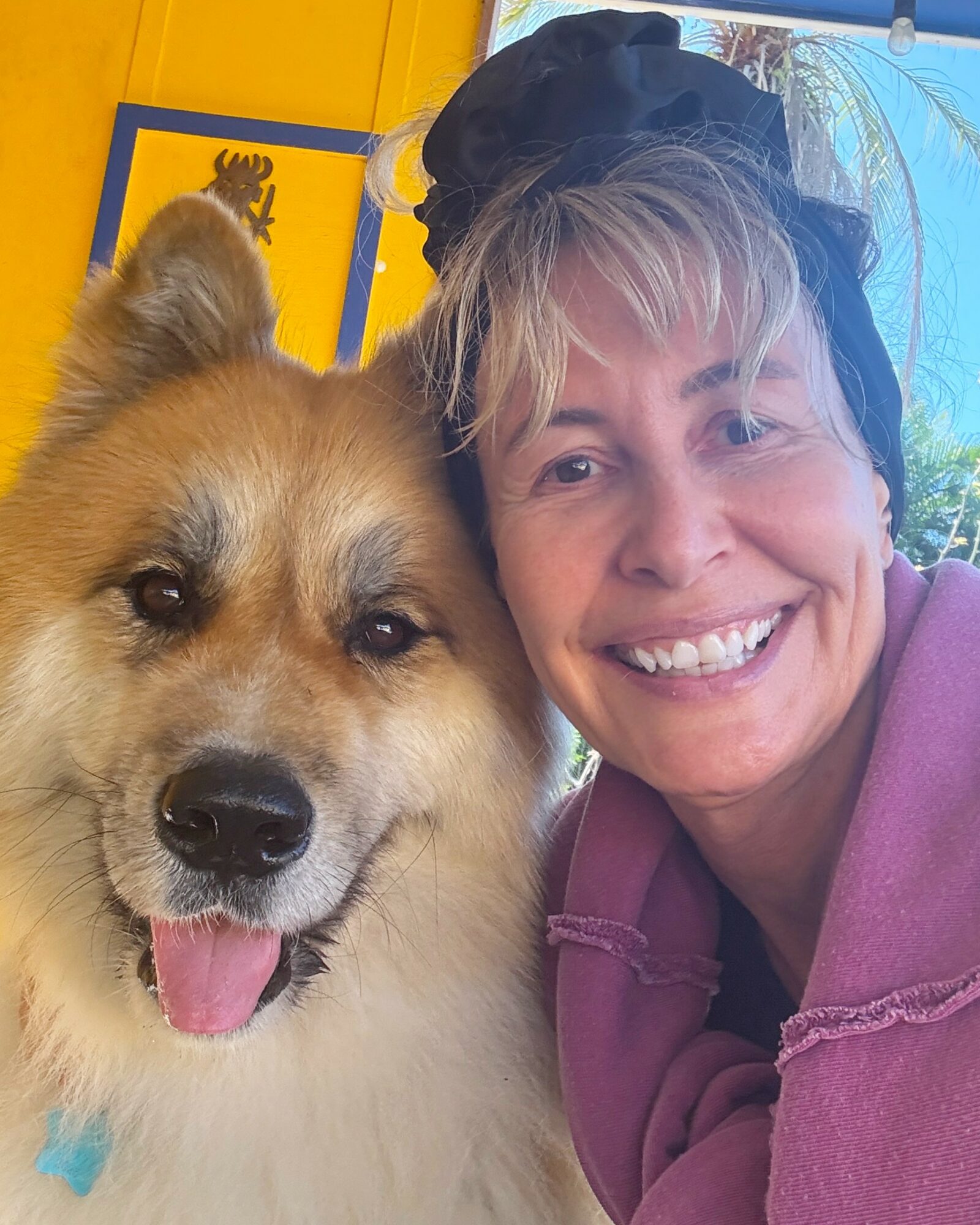 Person smiling next to a fluffy dog with a happy expression, indoors with colorful background.