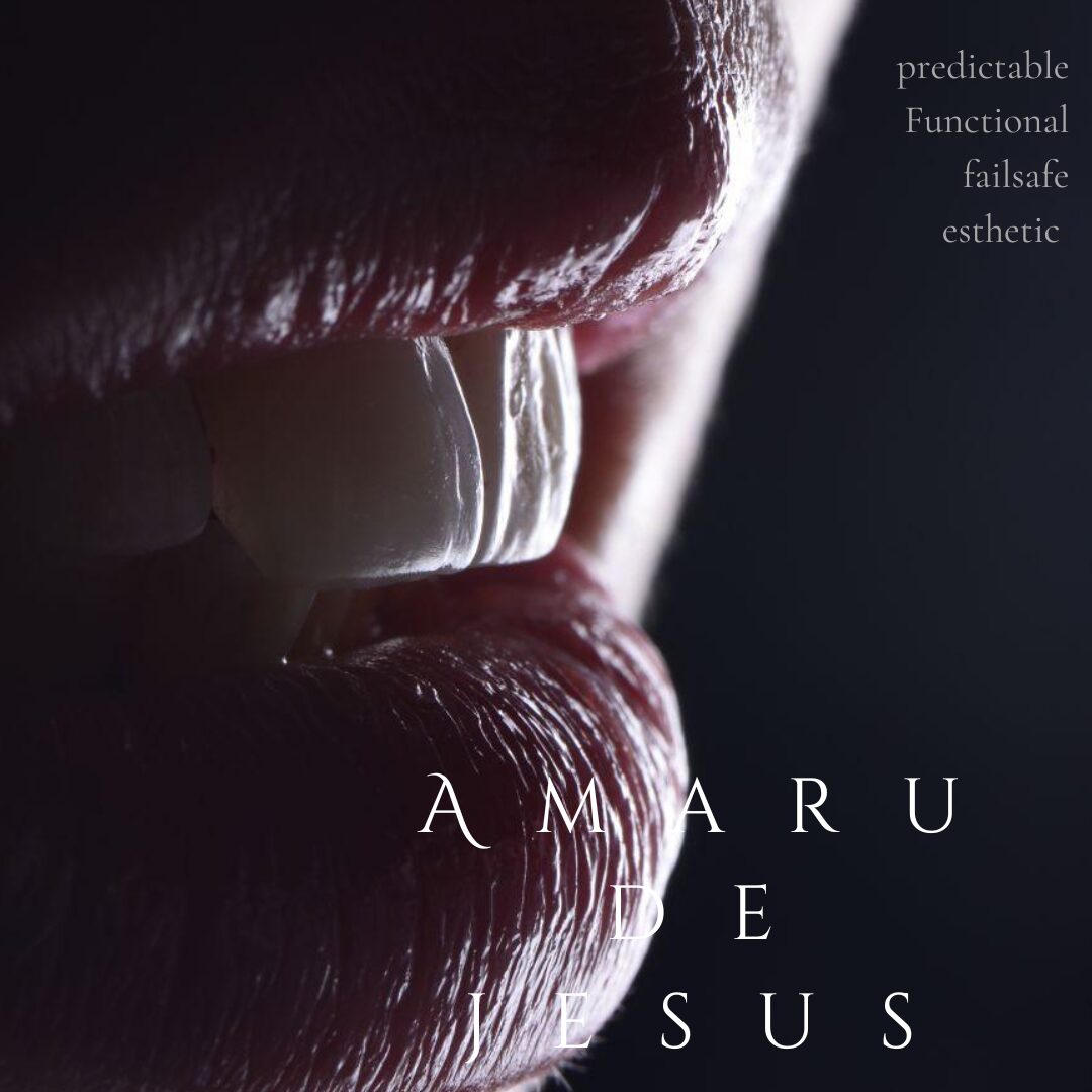 Close-up of lips with text overlay, words include 'predictable', 'functional', 'failsafe', 'aesthetic', and names 'Amaru', 'E', 'Sus'.