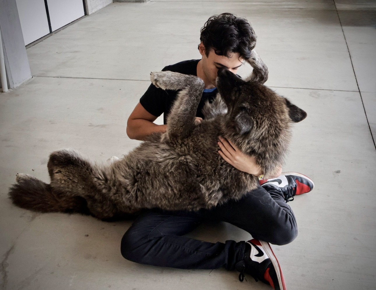 Child sitting on floor holding a large, fluffy dog, both facing each other indoors.