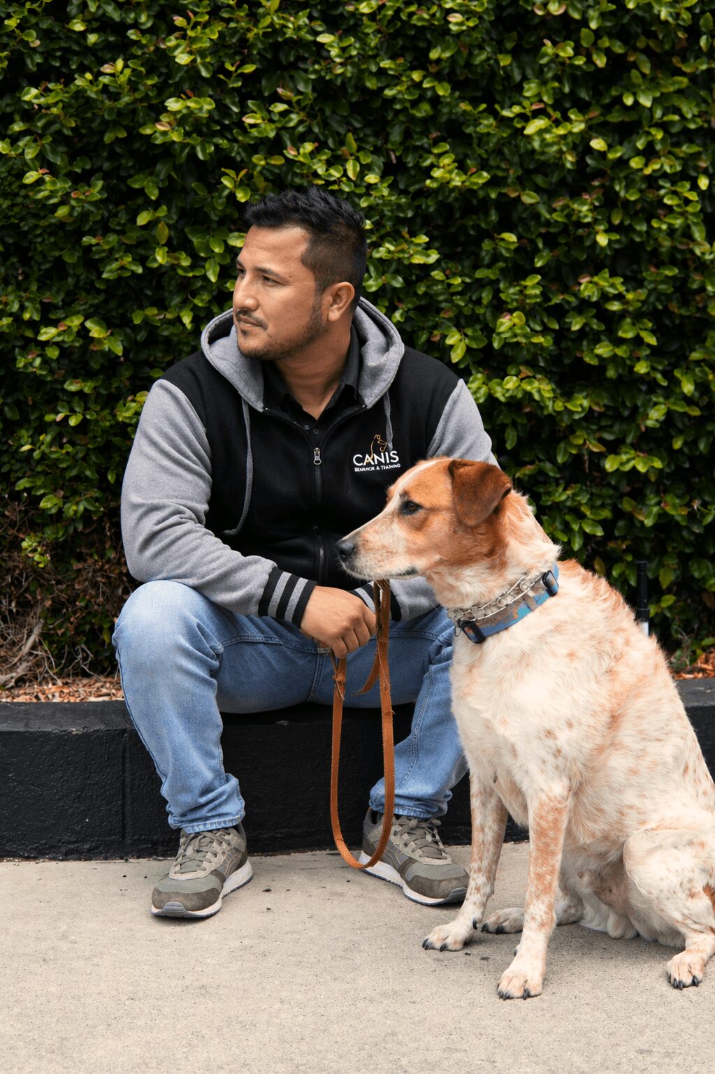 Man sitting on a black curb with a brown and white dog on a leash, in front of a green hedge.