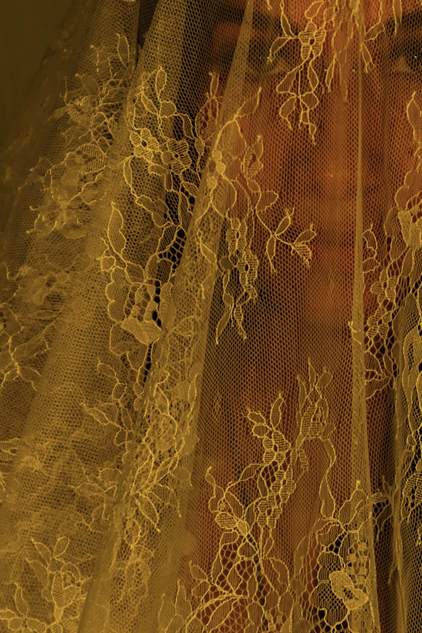 Close-up of yellow lace fabric with floral patterns and mesh background.