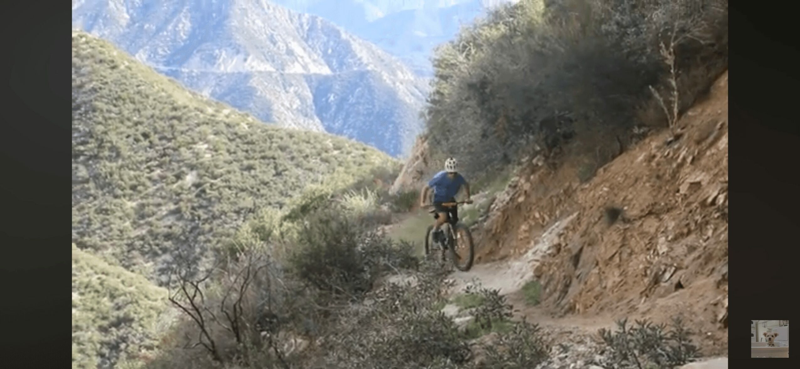 Person riding a mountain bike on a narrow dirt trail through a hilly landscape with mountains in the background.