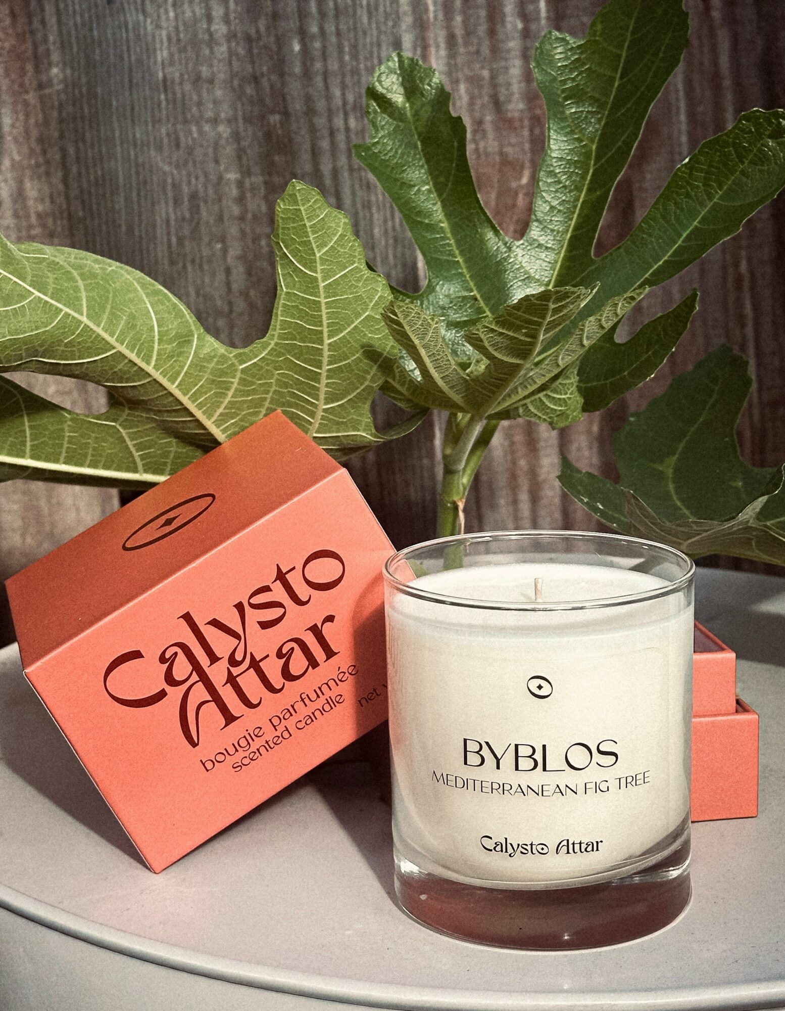 Candle labeled BYBLOS Mediterranean fig tree with green leaves in background.