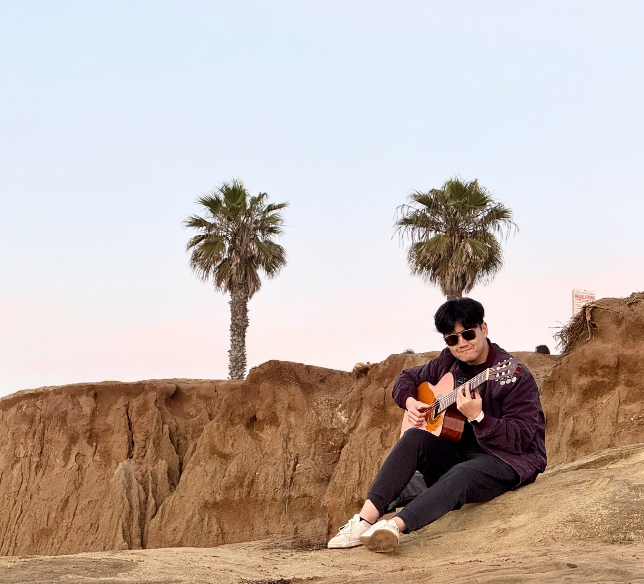 Person sitting on sandy ground playing guitar with two palm trees in background.