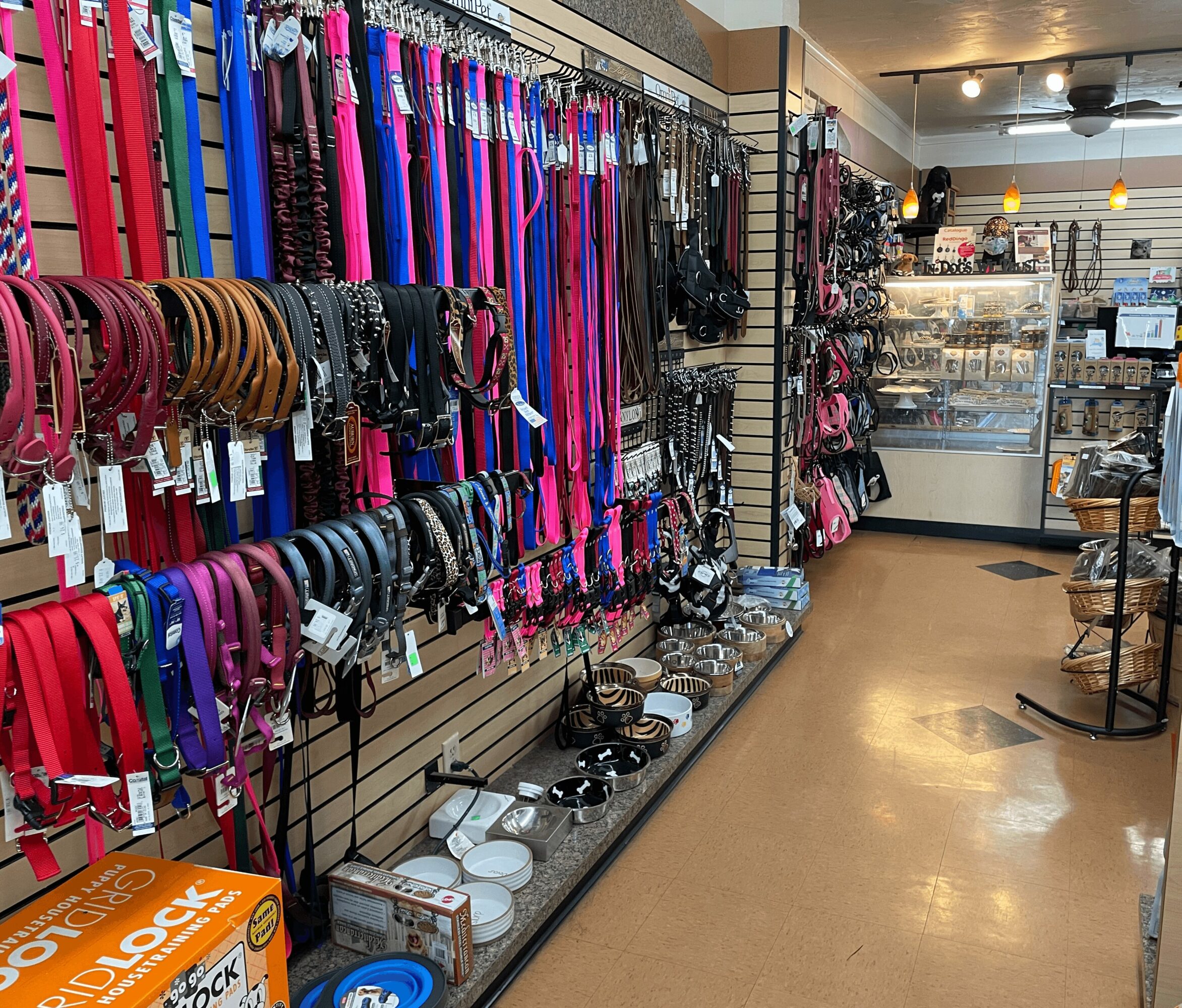 Pet accessories including leashes, collars, and harnesses hanging on a wall display in a store.