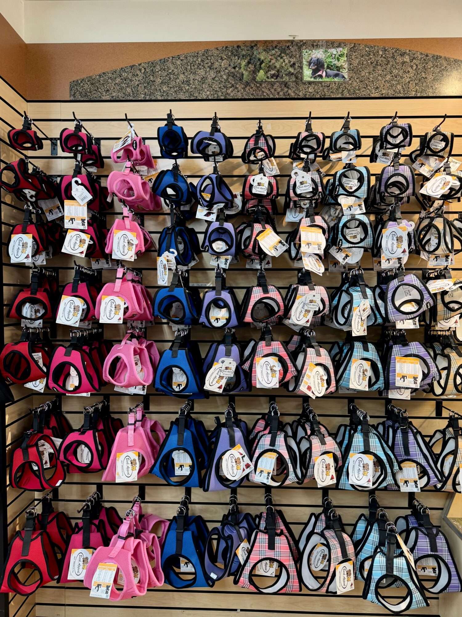 Display of colorful handbags on shelves in a store, with various styles and colors arranged in rows.