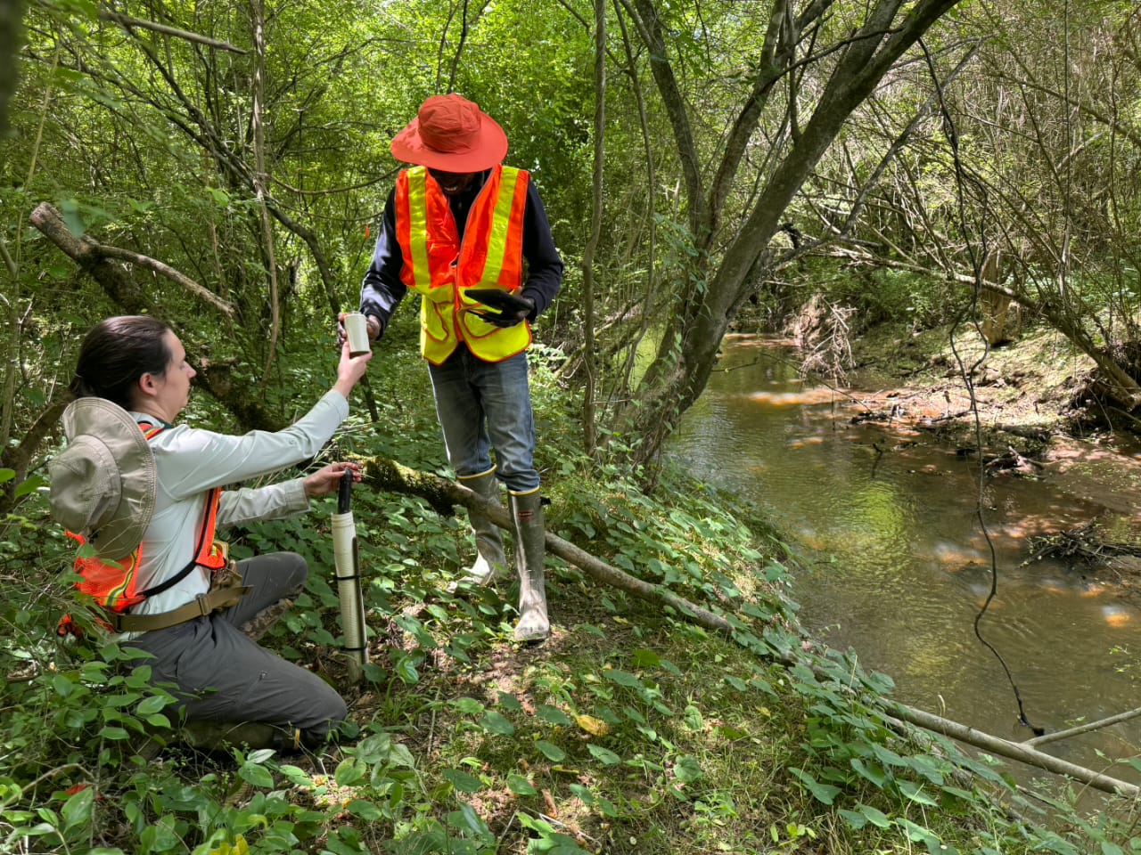 Two people in a forest near a creek, one standing on a log and the other kneeling, both wearing safety vests and hats.