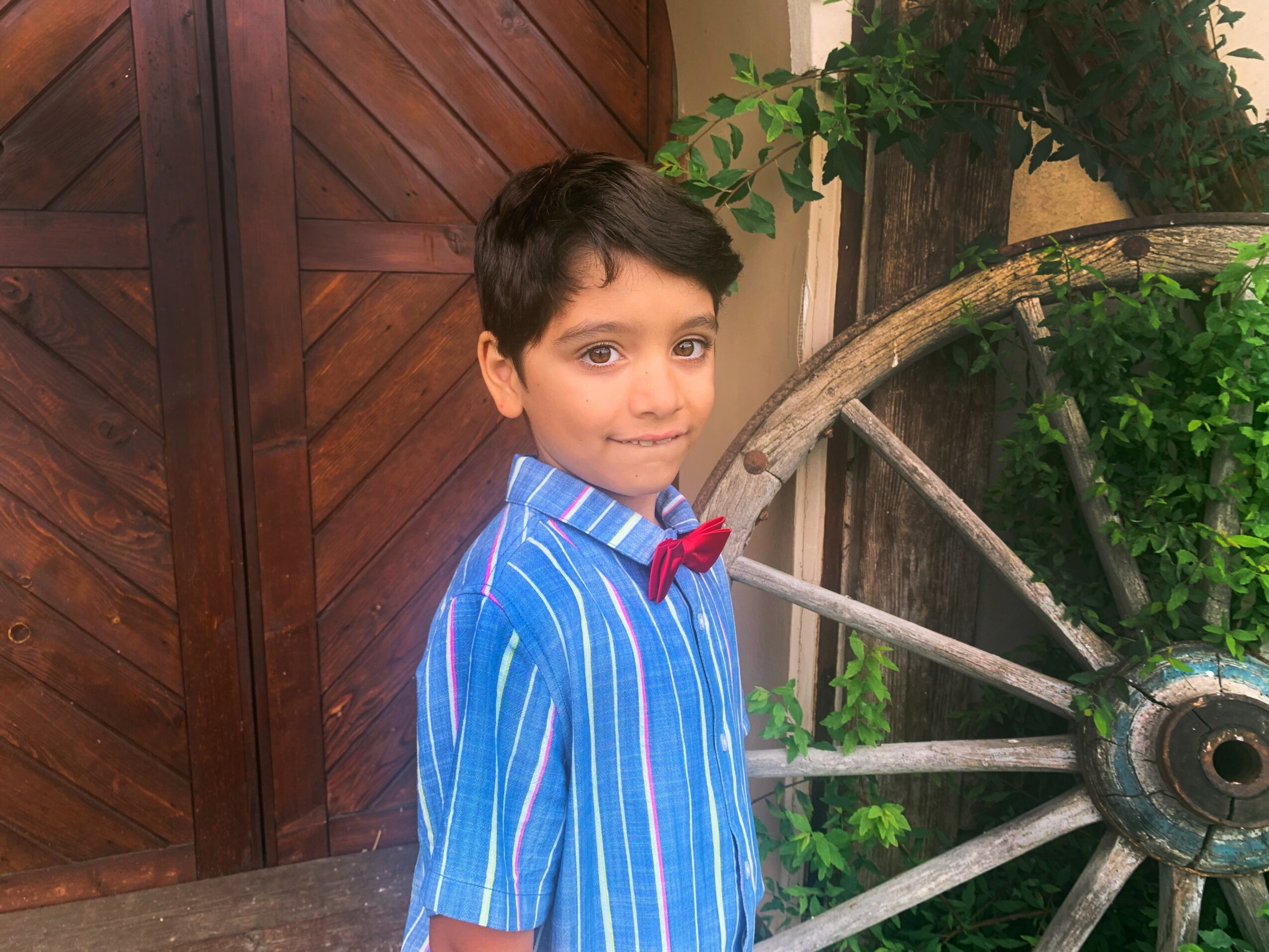 Young boy with dark hair wearing a blue striped shirt and red bow tie, standing outdoors near a wooden fence and wheel.