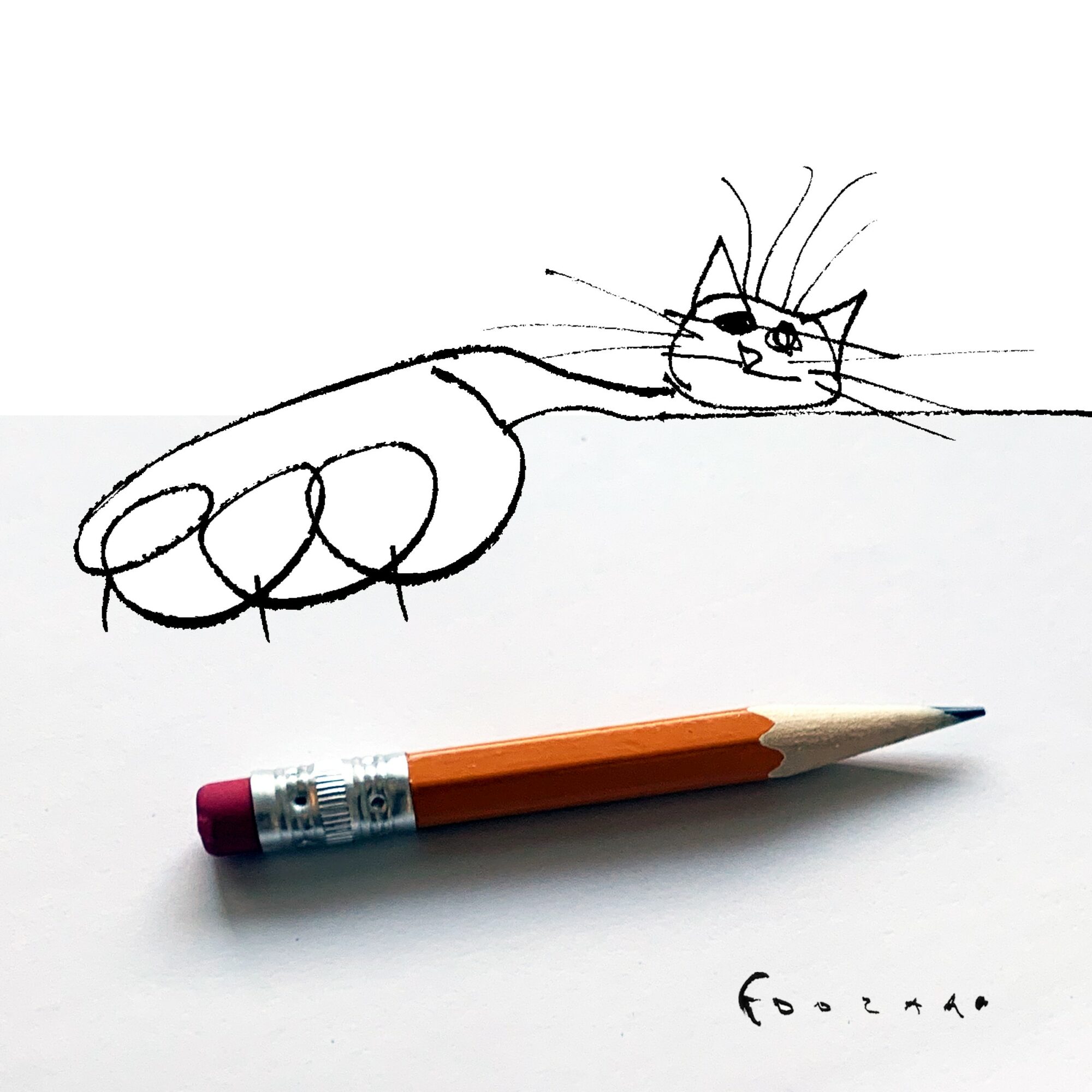 Simple black line drawing of a cat's face and paw, with a pencil placed below the drawing.