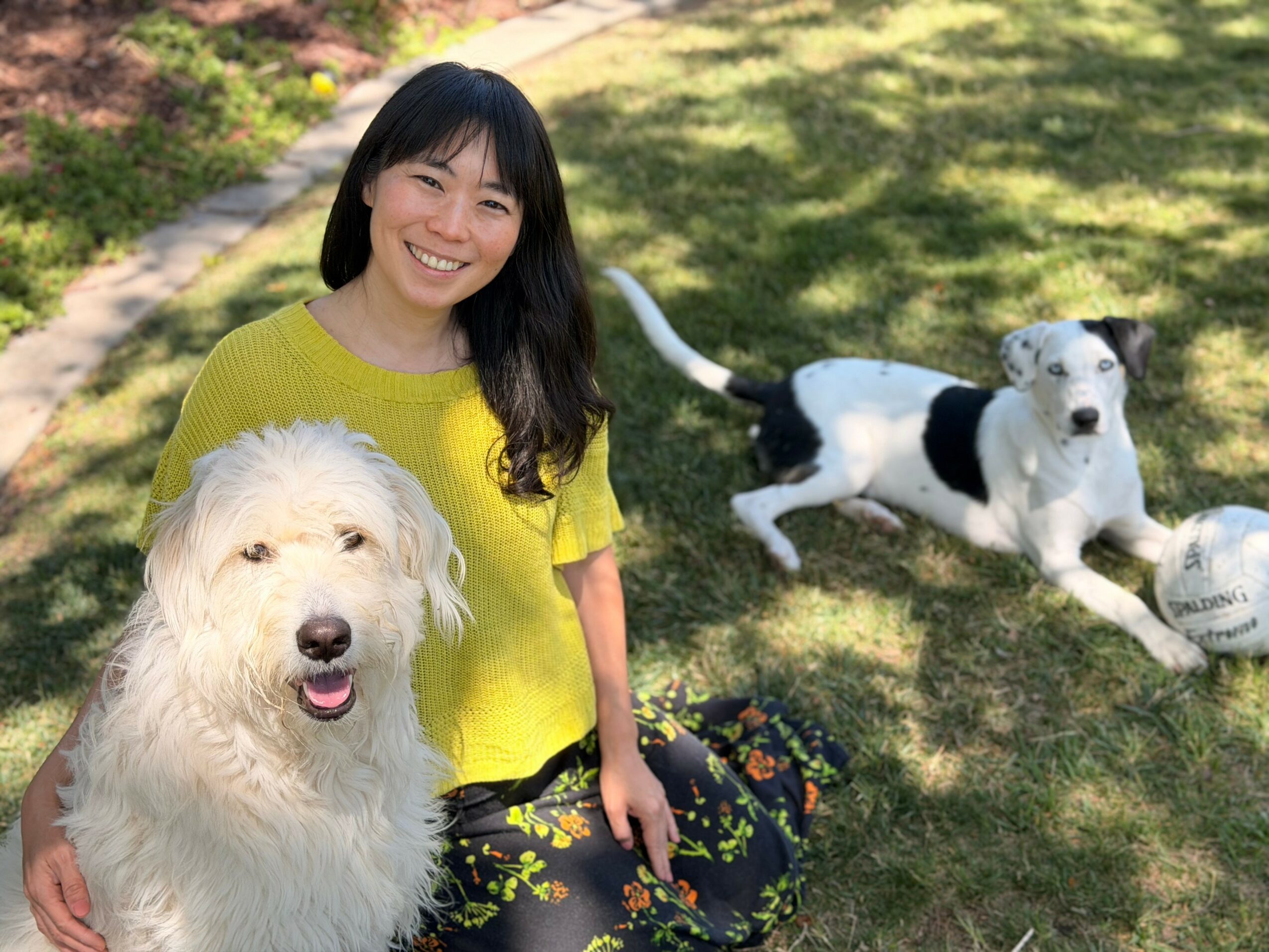 Woman smiling outdoors with a large white dog and a black and white dog near a ball on grass.