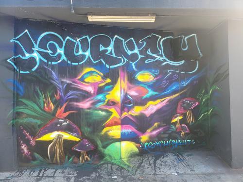 Colorful graffiti mural with abstract shapes, mushrooms, and vibrant colors on a wall.