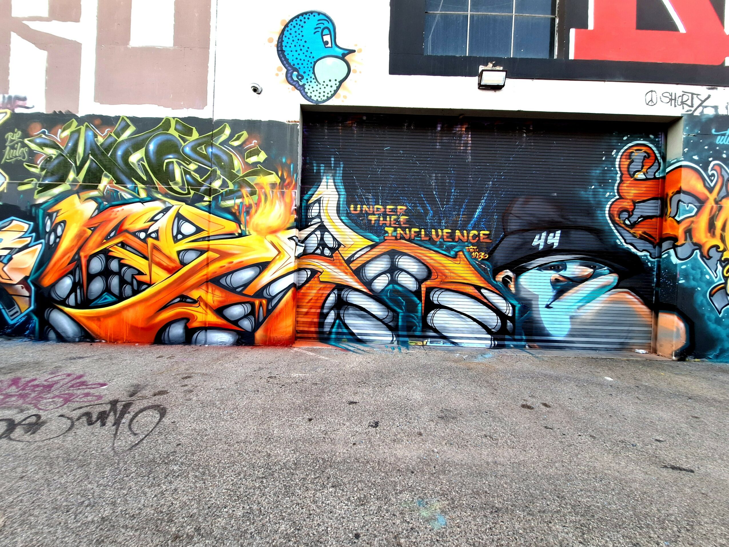 Graffiti mural with colorful abstract designs, a blue bird, and text on a black background wall.