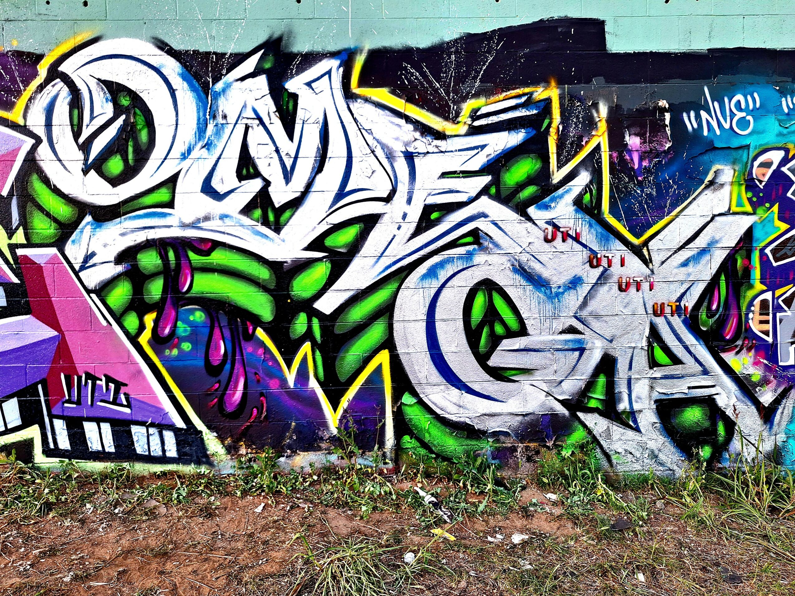 Colorful graffiti with bold letters, green and purple accents, on a wall, with grass and dirt in front.
