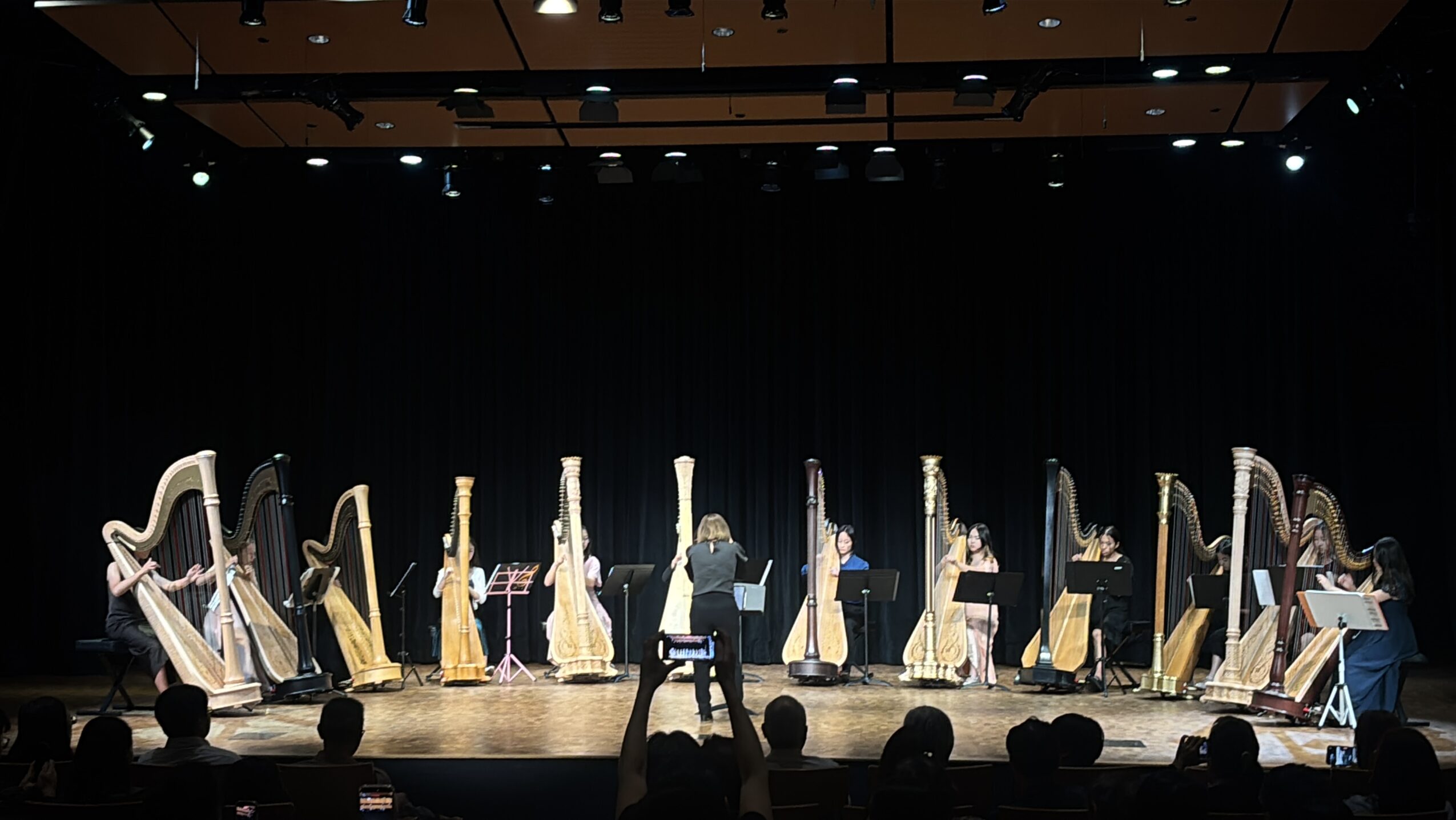 Stage with multiple harps and a person standing in front, audience visible at the bottom, black background, stage lighting.