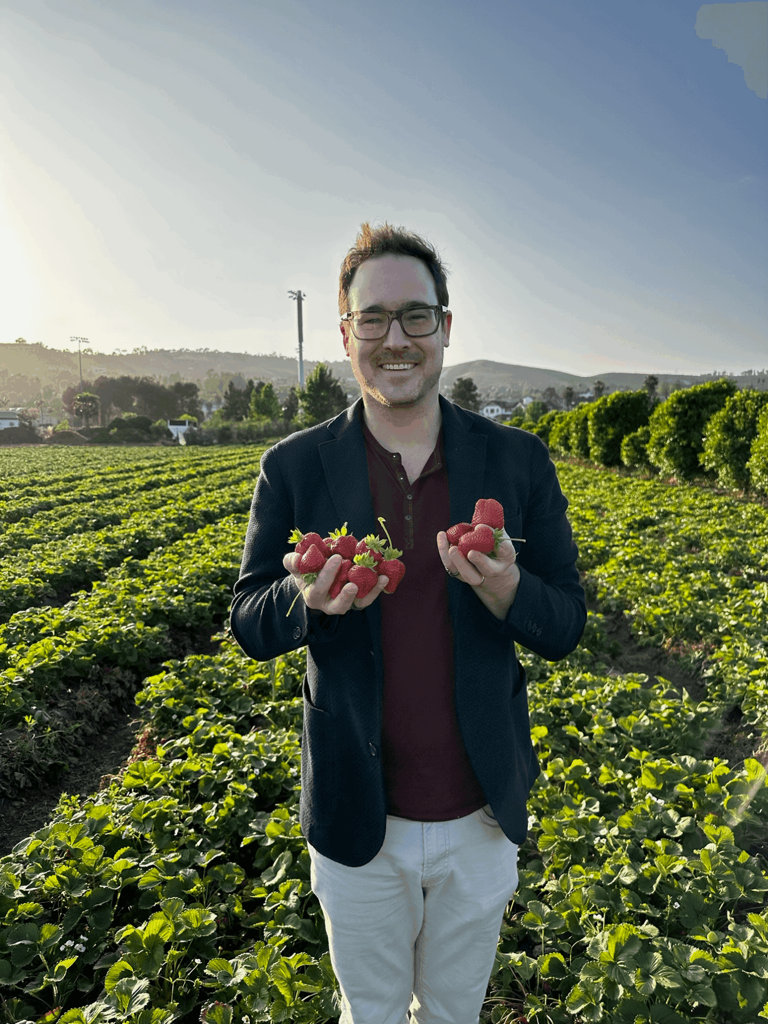 Man holding strawberries in a field with green plants and a clear sky.