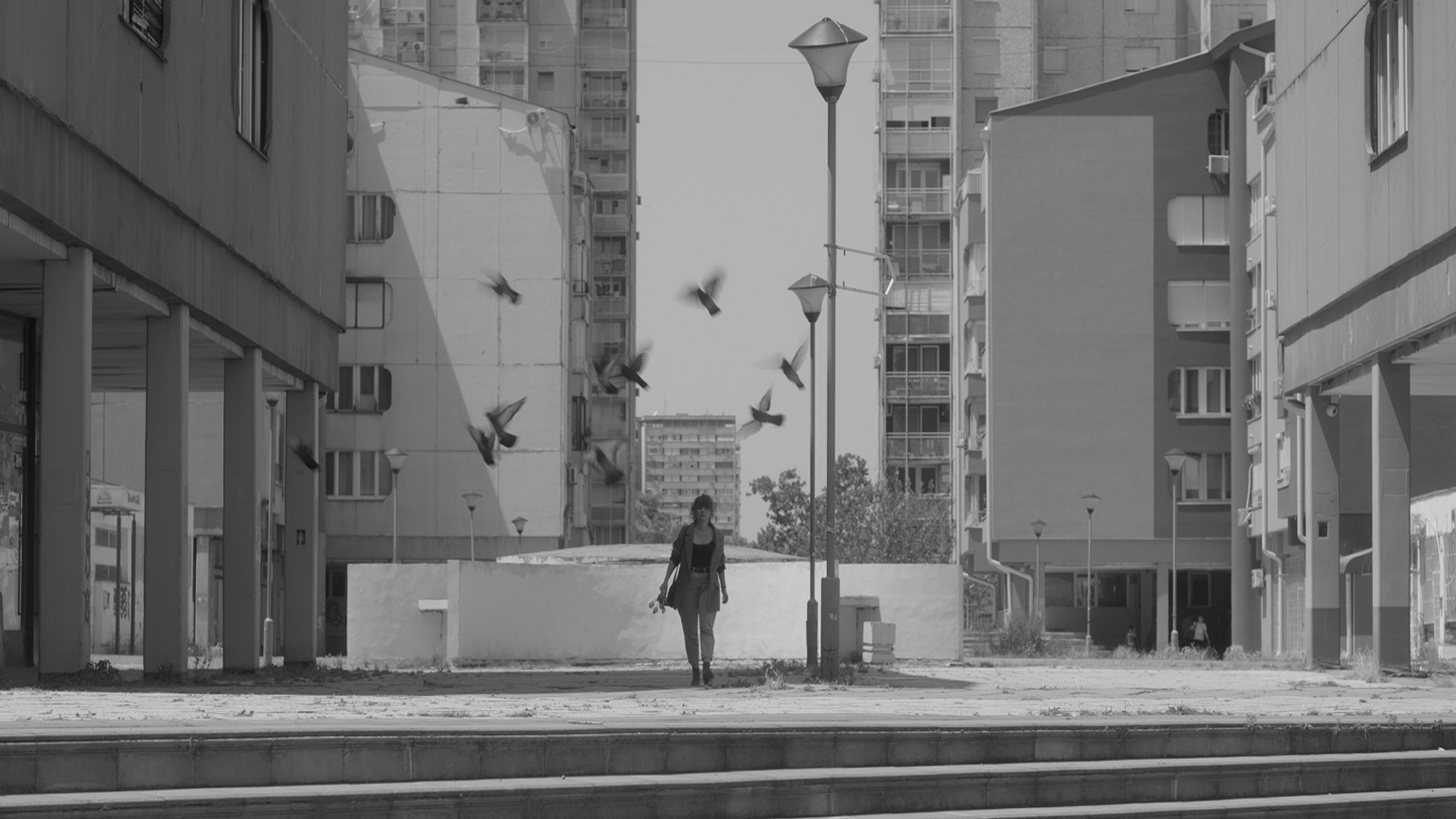 A person walking on stairs between tall buildings with birds flying nearby, in an urban setting.