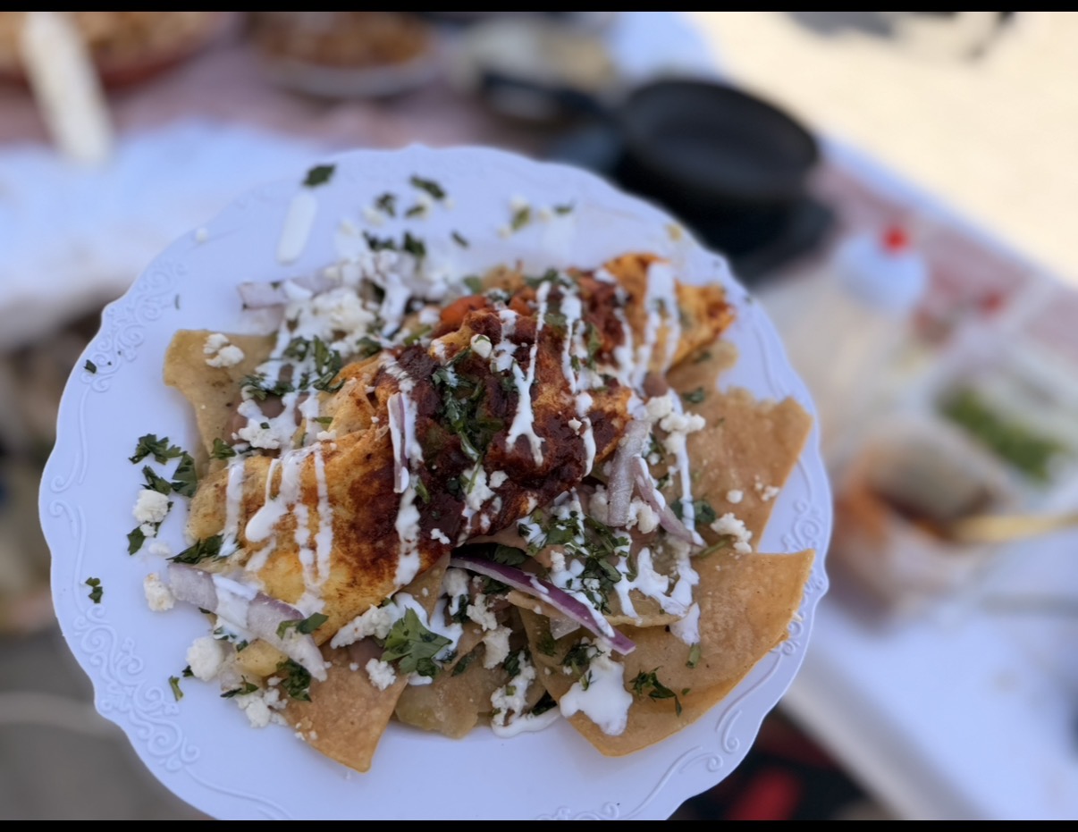 Plate of fried food topped with sauce, shredded cheese, and herbs, with a blurred background.